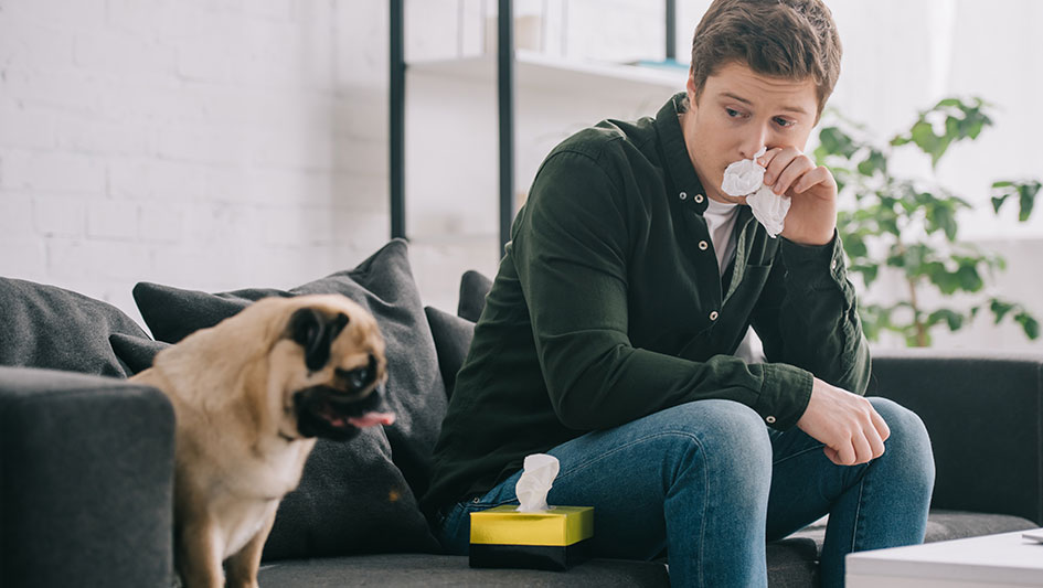 Getting an air purifier is one of the best ways to boost your house’s indoor air quality. Find out more about the three top solutions. 